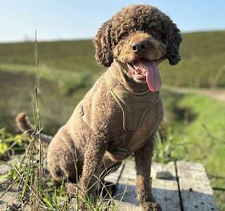 thumbnail PHOTO 2024 10 24 07 54 46 CHino